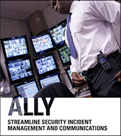 Download Our Ally Brochure